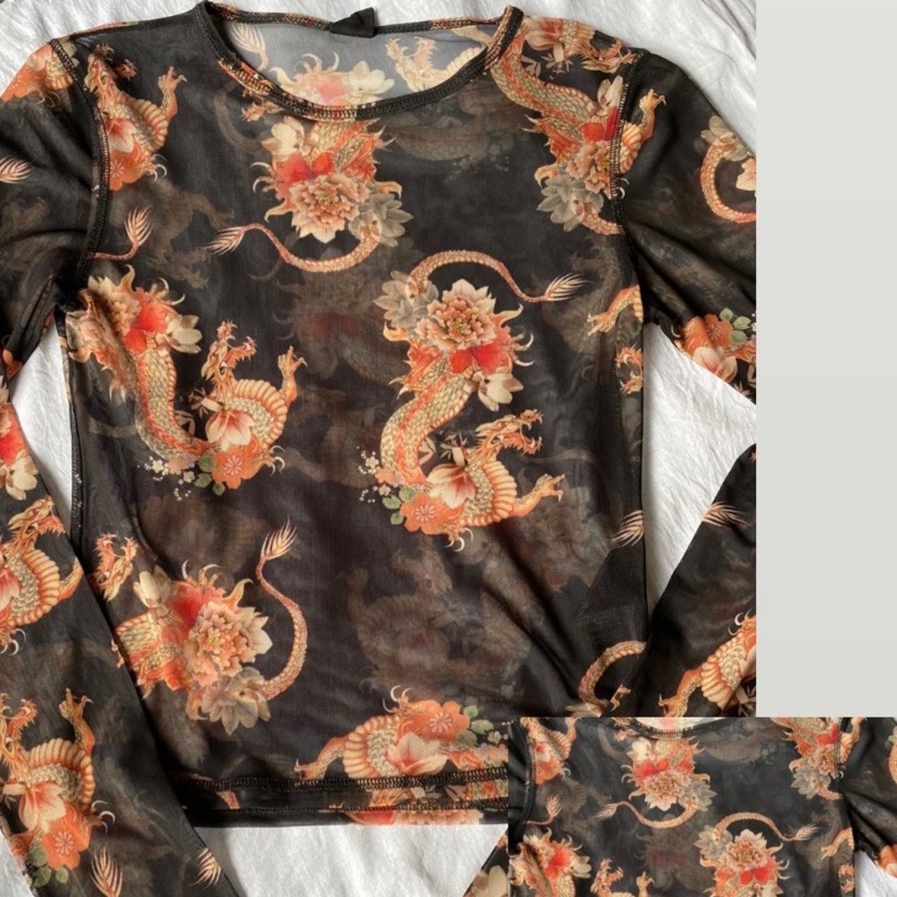 Urban Outfitters Mesh Dragon Top